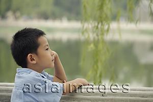 Asia Images Group - Profile of young boy looking at a lake.