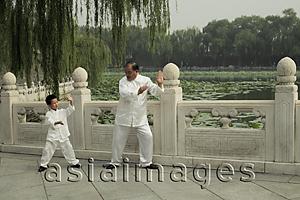 Asia Images Group - Grandfather and grandson doing Tai Chi together in park