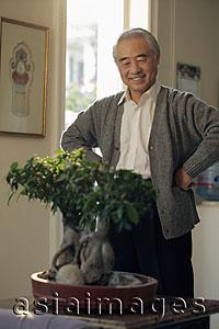 Asia Images Group - Older man looking at his bonsai tree