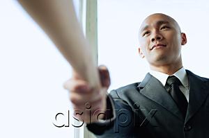 AsiaPix - Businessman shaking hands with someone, low angle view