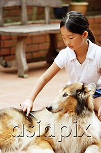 AsiaPix - Girl grooming dog