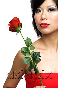 AsiaPix - Woman with single stalk of rose