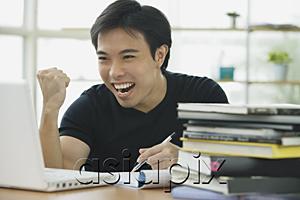 AsiaPix - Young adult looking at laptop, smiling, making a fist