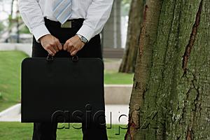 AsiaPix - Businessman standing in park, holding briefcase, cropped image