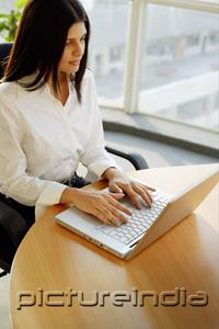 PictureIndia - Female executive using laptop, portrait