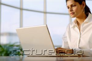 PictureIndia - Businesswoman using laptop