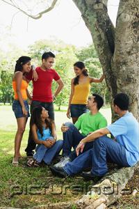 PictureIndia - Young men and women, sitting and standing in park, talking