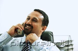 PictureIndia - Businessman using telephone