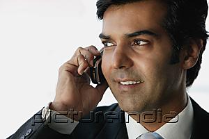 PictureIndia - Businessman on the phone