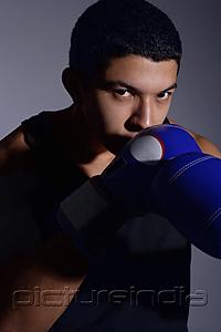PictureIndia - Boxer