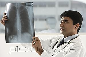 PictureIndia - indian doctor holding up x-ray scan
