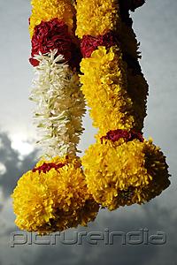 PictureIndia - Hanging flower garlands against cloudy sky.