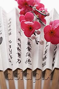 AsiaPix - Chinese paper fan with peach blossoms