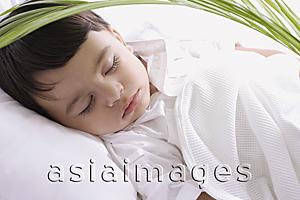 Asia Images Group - baby boy sleeping under plant