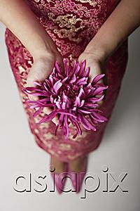 AsiaPix - close up of woman wearing pink cheongsam holding purple flower