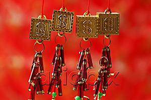 AsiaPix - Gold good fortune, dollar sign decorations