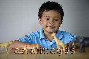 Asia Images Group - Little boy playing with plastic animals