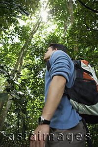 Asia Images Group - Man on a hike looking up at trees