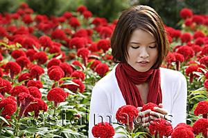 Asia Images Group - Young woman among red flowers (coxcomb)