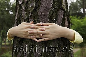 Asia Images Group - Close up on woman's hands hugging a tree