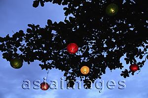 Asia Images Group - colored lanterns at night hanging from tree