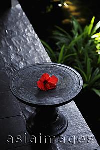 Asia Images Group - wooden dish with red hibiscus