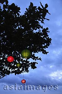 Asia Images Group - colored lanterns hanging from tree at night