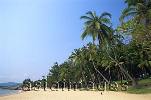 Asia Images Group - China,Hainan Island,Sanya,Beach Scene at Tianya-Haijiao Tourist Zone