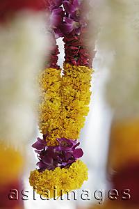 Asia Images Group - Hanging flower garland