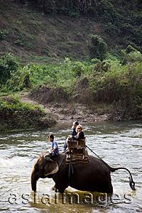 Asia Images Group - Thailand,Chiang Mai,Elephant Camp,Tourist Elephant Trekking
