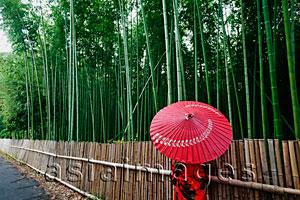 Asia Images Group - Rear view of woman wearing red Kimono holding red umbrella walking next to bamboo