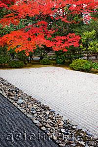 Asia Images Group - Kennin-ji Zen Temple,Zen Garden and Autumn Leaves. Kyoto, Japan