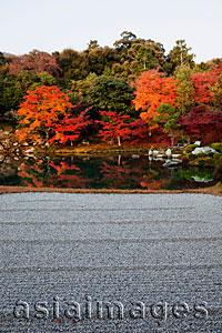 Asia Images Group - Autumn Leaves in the Landscape Garden. Kyoto, Japan