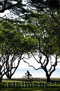 Asia Images Group - Man riding bike in park near ocean.