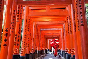 Asia Images Group - Woman in red Kimono holding red umbrella at Fushimi Inari Taisha Shrine,Tunnel of Torii Gates.