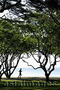 Asia Images Group - Man jogging under trees near ocean