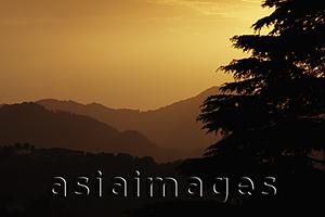 Asia Images Group - Sunset view of the Himalayan foothills, India
