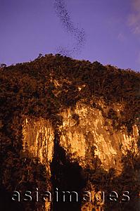 Asia Images Group - Malaysia, Mulu National Park, sunset at great cave