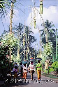 Asia Images Group - Indonesia, Bali, Village streets decorated with bamboo penjors at festival time (Galungan).