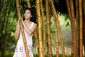 Asia Images Group - Young woman standing in a bamboo grove