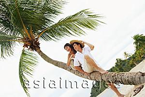 Asia Images Group - Couple sitting on coconut tree, looking away