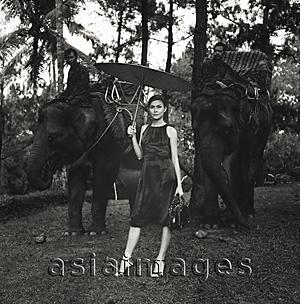 Asia Images Group - Eurasian model holding umbrella standing in front of elephants