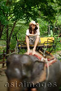 Asia Images Group - Young woman sitting on elephant, looking at camera, touching hat, Phuket, Thailand