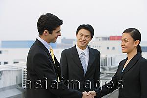 Asia Images Group - Businessman and businesswoman shaking hands