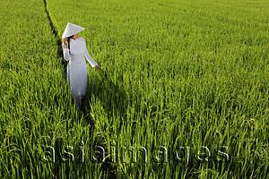 Asia Images Group - Woman wearing traditional Vietnamese outfit standing in a rice paddy