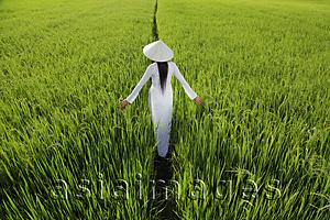 Asia Images Group - Rear view of woman wearing traditional Vietnamese outfit walking through a rice paddy