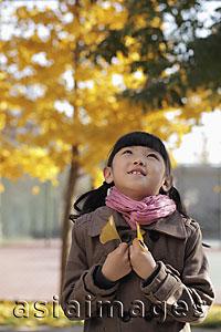 Asia Images Group - Young girl holding Autumn leaves looking up