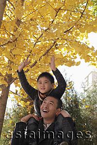 Asia Images Group - Young boy on dad's shoulders looking at the trees