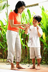 AsiaPix - Mother and son standing, looking at terrapin