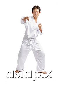 AsiaPix - Young man practicing martial arts